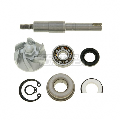 Water Pump Repair Kit (SH150)