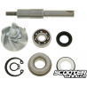 Water Pump Repair Kit (SH150)