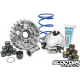 Variator Polini Maxi-Speed (Piaggio 125-150)
