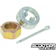 Clutch Bell Nut M10x1.25 (Piaggio)