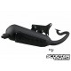 Exhaust Malossi Wild Lion (Piaggio Injection)