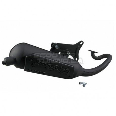 Exhaust Malossi Wild Lion (Piaggio Injection)