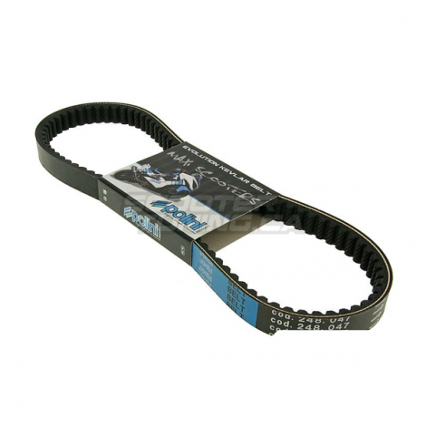Drive Belt Polini Kevlar (SH150)