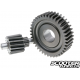 Secondary Gear Polini 15/39 (SH150)