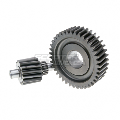 Secondary Gear Polini 15/39 (SH150)