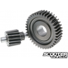 Secondary Gear Polini 15/39 (SH150)