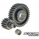 Secondary Gear Airsal 14/33 (SH150)