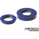 Seal for Crankshaft Polini Evolution