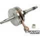 Crankshaft Athena Racing HPC 12mm (AF34-35)