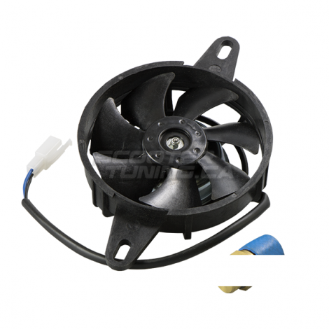 Radiator Fan & Thermostat Taida 