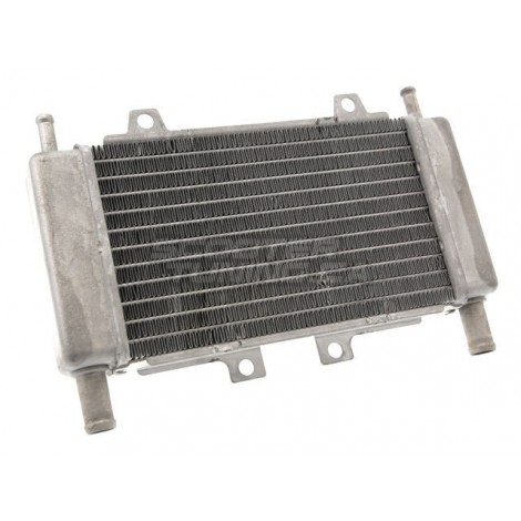 Radiator Motoforce RACING