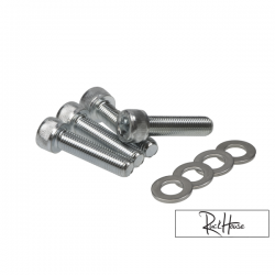 Main Frame Bolts TRS Shiney (4) Honda Ruckus