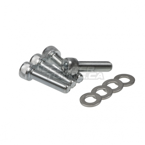 Main Frame Bolts TRS Shiney (4) 