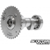Camshaft Taida T-300 150-232cc (High Rev) 2V
