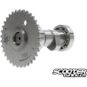Camshaft Taida T-100 150-232cc (Medium Rev) 2V