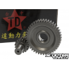 Gear kit Taida 16/42 (Dio)