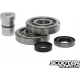 Crankshaft Bearing set with seal Taida