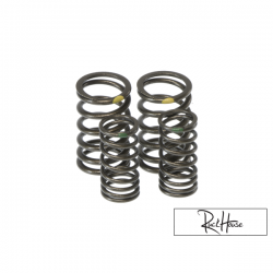Titanium Valve Spring Taida Upgraded (2V) for GY6 125-150cc