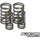 Titanium Valve Spring Taida Upgraded (2V)