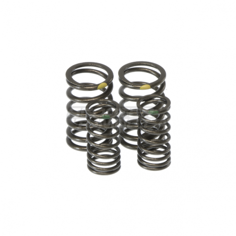 Titanium Valve Spring Taida Upgraded (2V)