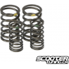 Titanium Valve Spring Taida Upgraded (2V)