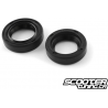 Oil Seals for crankshaft Motoforce (Piaggio)