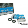 Crankshaft Bearing Naraku (Piaggio)