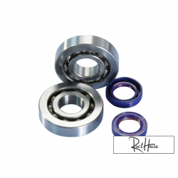 Crankshaft Bearing Polini Evolution Piaggio