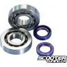 Crankshaft Bearing Polini Evolution (Piaggio)