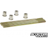 Extended Cylinder Studs 130mm (Dio)
