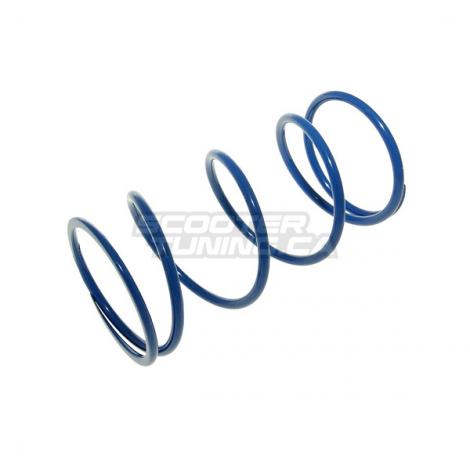 Torque Spring Polini +15% Zuma 125