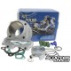 Cylinder kit Polini Sport 80cc GY6 50cc 139QMB/QMA