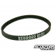 Oil Pump Drive Belt Piaggio OEM (Piaggio)