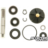 Water pump repair kit (Piaggio)