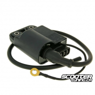 Ingition Coil with CDI unit (Piaggio)