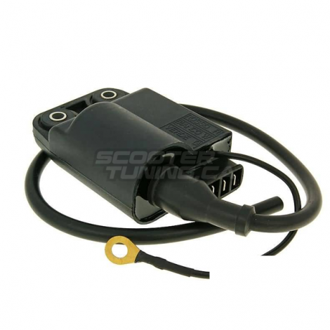 Ingition Coil with CDI unit (Aprilia SR50 Piaggio)
