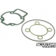Gasket set Malossi Sport / Replica / Team (Piaggio LC)