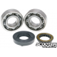 Crankshaft Bearing Naraku HQ Minarelli