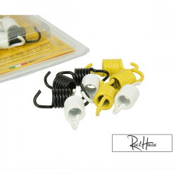Ressorts D'embrayage Malossi pour Embrayage Original / Fly / Delta (Morini)