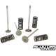 Cylinder Head Valve with Spring Malossi