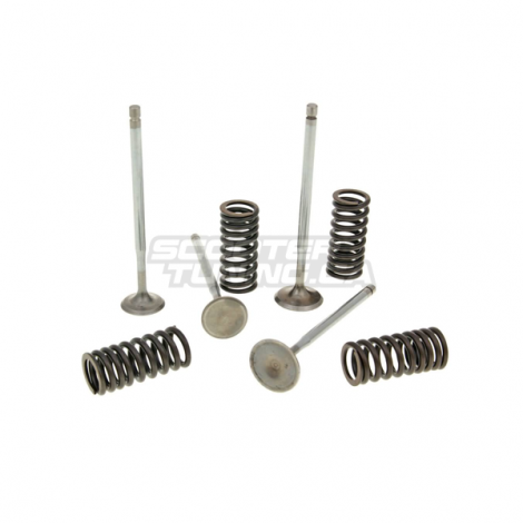 Cylinder Head Valve with Spring Malossi