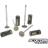 Cylinder Head Valve with Spring Malossi