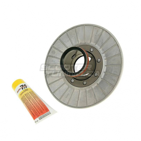 Torque Driver Malossi (Piaggio 200-300cc)
