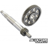 Primary gear kit Polini 15/49 (Piaggio 200-300cc)