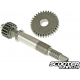 Primary gear kit Malossi 16/32 (Dio/Elite)