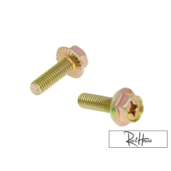 Exhaust Bolt M6x16 (2)