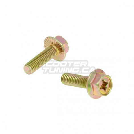 Exhaust Bolt M6x16