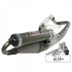 Exhaust Giannelli Reverse (Kymco)