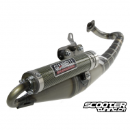 Exhaust Giannelli Reverse Piaggio