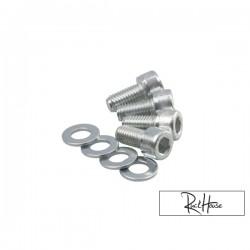 Socket Screw Set for Rear Fatty Wheel (Bws/Zuma)